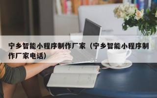 尉氏宁乡智能小程序制作厂家（宁乡智能小程序制作厂家电话）